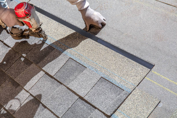 Best Roof Repair Services  in Brandon, MS
